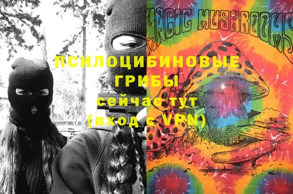 дурь Алексин