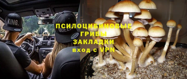 дурь Алексин